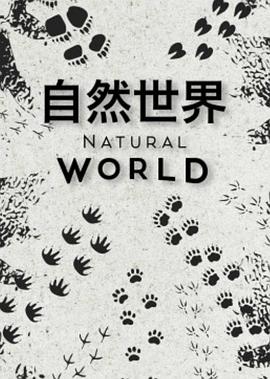 自然世界第一季第05集(大结局)