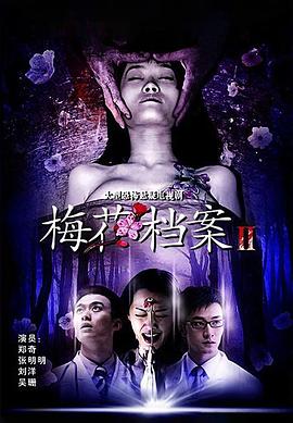 梅花档案2第31集
