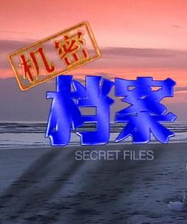 机密档案第19集