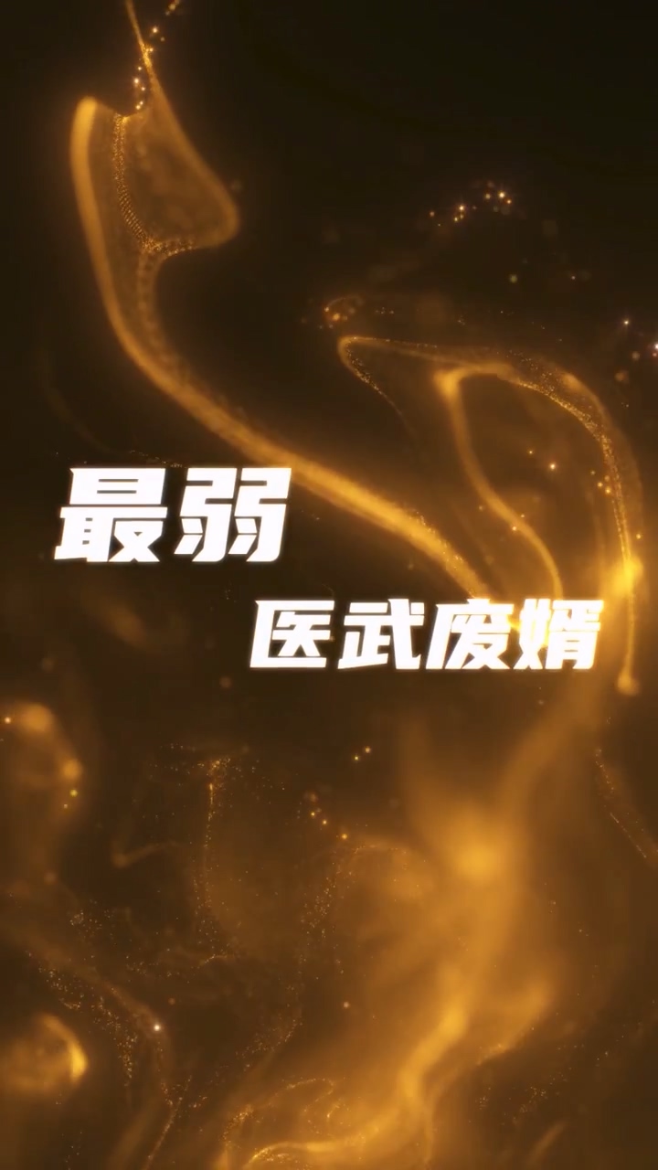 最弱医武废婿第21集