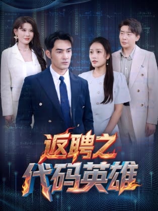 返聘之代码英雄(全集)