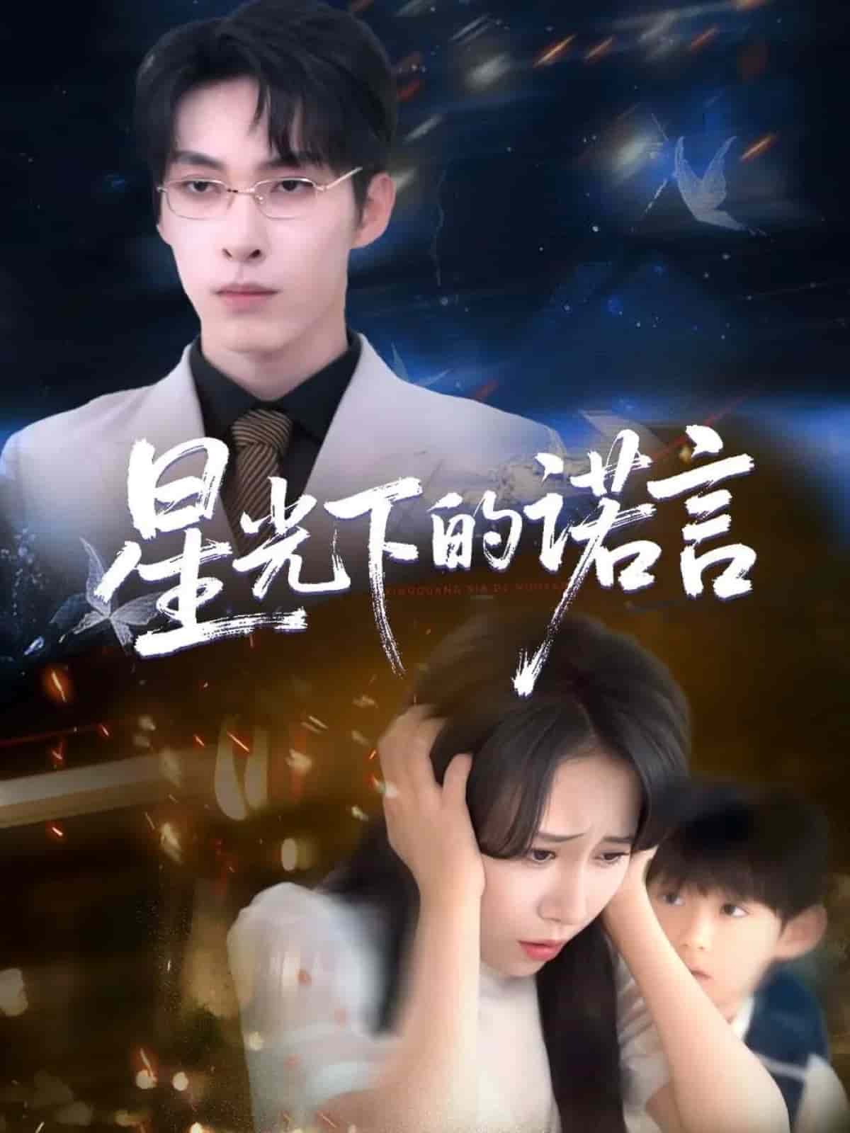 星光下的诺言(全集)