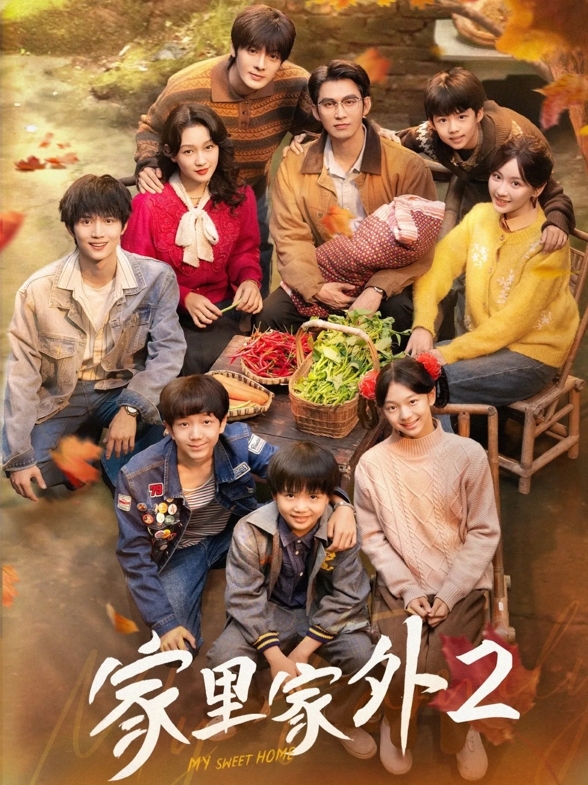 家里家外2(全集)