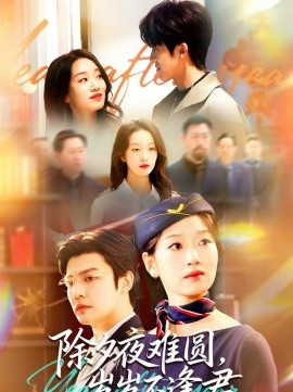 除夕夜难圆，岁岁不逢君(全集)