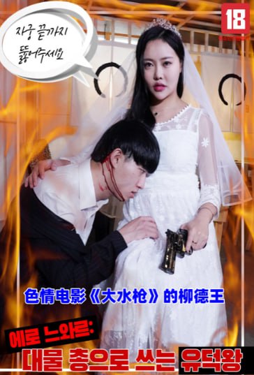 色情电影的柳德王