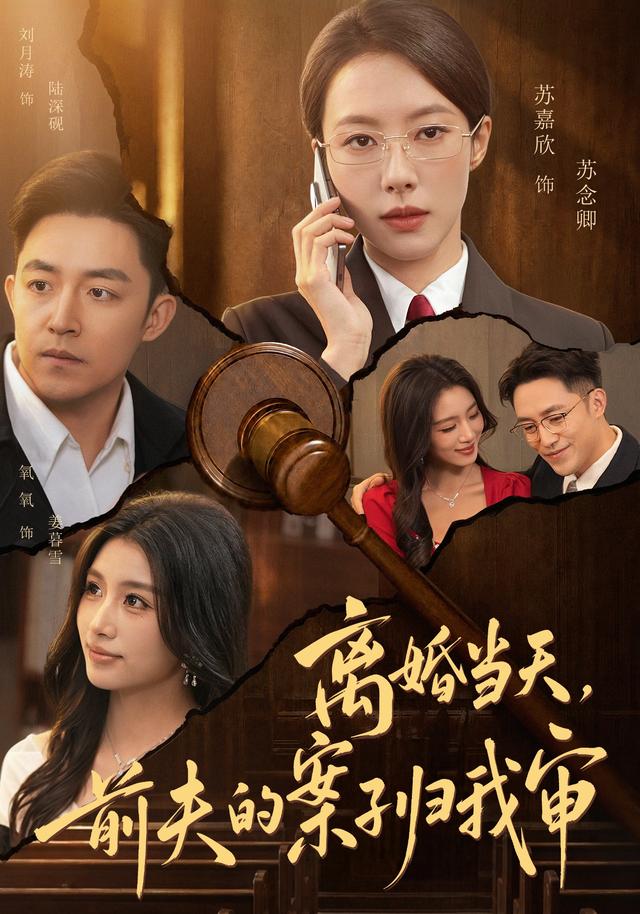 离婚当天,前夫的案子归我审(全集)